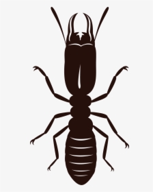Termite Png Hd - Termite Png, Transparent Png, Free Download