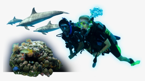 Underwater - Portable Network Graphics, HD Png Download, Free Download