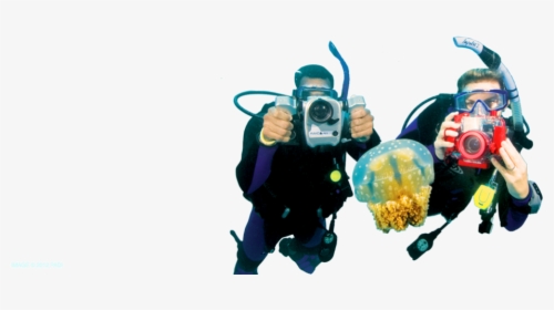 Underwater Diving Png Photo - Scuba Diver Photographer, Transparent Png, Free Download