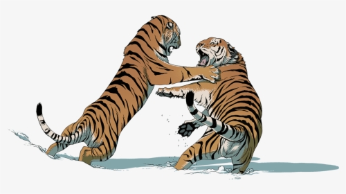 Two Tigers Fighting - Tiger Fight Png, Transparent Png, Free Download