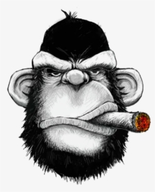 #mq #monkey #gorilla #ciggarette #smoke #black - Monkey Cigar, HD Png Download, Free Download