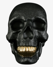 Skull With Gold Teeth Png, Transparent Png, Free Download