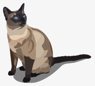 Cat Siam Cat Breed Pet Animal - Cartoon Siamese Cat Png, Transparent Png, Free Download
