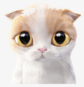 Siamese Cat Kitten Cuteness Mobile Phone Wallpaper - Cute Cartoon Siamese Cat, HD Png Download, Free Download
