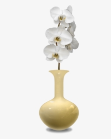Transparent Flower In Vase Png, Png Download, Free Download