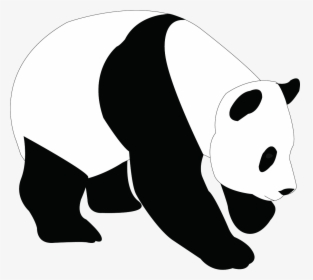 Panda Silhouette Png - Panda Bear Line Art, Transparent Png, Free Download
