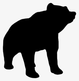 American Black Bear, HD Png Download, Free Download