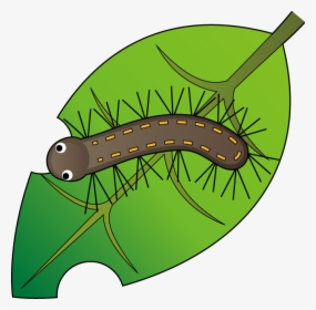 Caterpillar Worm Butterfly Clip Art - 毛虫 イラスト, HD Png Download, Free Download