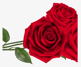 Red Rose Clipart Top View - Red Roses Png, Transparent Png, Free Download