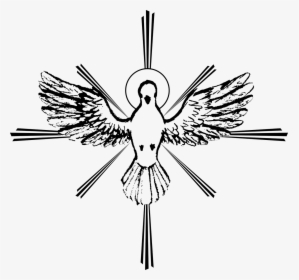 Drawing Holy Spirit Dove, HD Png Download, Free Download