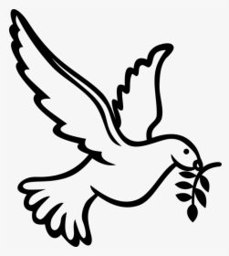 Columbidae Calvary Chapel West - Holy Spirit Dove Drawing, HD Png Download, Free Download