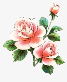 Pink Rose Clipart Dozen Rose - Free Pink Roses Clipart, HD Png Download, Free Download