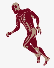 3d Running Man Muscles Anatomy D Png - Running Man 3d Png, Transparent Png, Free Download