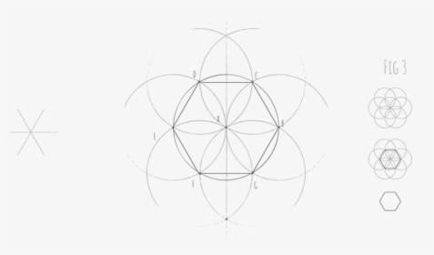 Hexagon Fig - Line Art, HD Png Download, Free Download