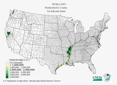 Rice Production In The United States Map Of Tomato - Texas Rice Belt, HD Png Download, Free Download