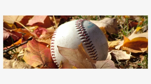 Fall Baseball, HD Png Download, Free Download