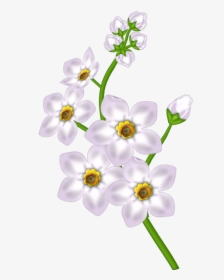 Flower Transparent Clipart, HD Png Download, Free Download