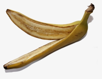 Banana, Fruit, Png, Sliced, Chopped, Healthy, Fibre - เปลือก ผล ไม้ Png, Transparent Png, Free Download
