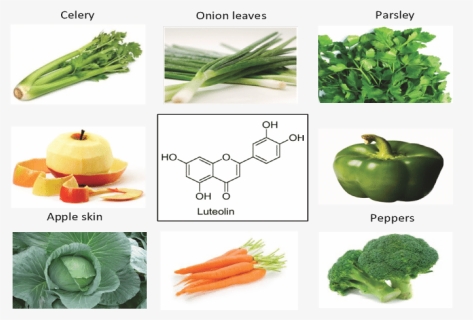 Sources And Structure Of Luteolin - Carrot, HD Png Download, Free Download