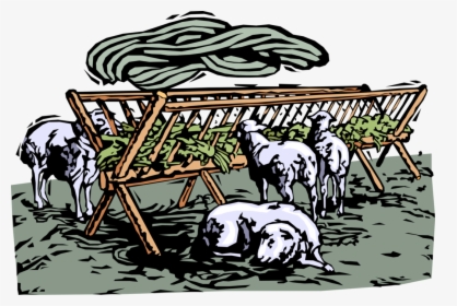 Vector Illustration Of Farm Sheep Feeding On Fresh - Illustration, HD Png Download, Free Download