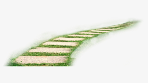 Grass Way Vector, HD Png Download, Free Download