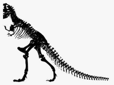 Dinosaurs Clipart Dinosaur Bone - Dinosaur Skeleton Png, Transparent Png, Free Download