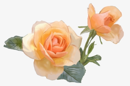 Transparent Rose Flowers Png - Flowers Png Hd Psd, Png Download, Free Download