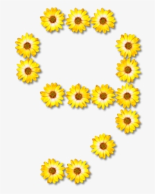 Sunflower Seed,chrysanths,flower - Number Sunflowers Design, HD Png Download, Free Download