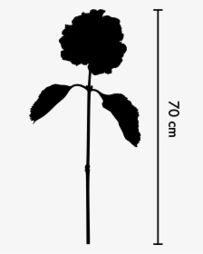 Hydrangea Png, Transparent Png, Free Download