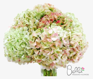 Wedding, HD Png Download, Free Download