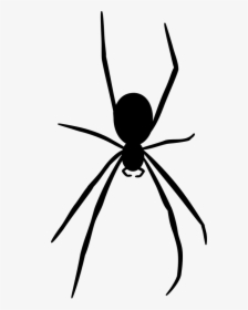 Spider Silhouette - Black Spider Transparent Background, HD Png Download, Free Download