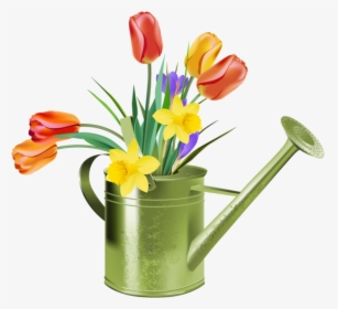 Daffodil Clipart Tulip - Watering Can Flowers Clipart, HD Png Download, Free Download