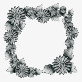 Silver, The Frame, Chrysanthemum Flowers, Leaf - Bingkai Bunga Png, Transparent Png, Free Download