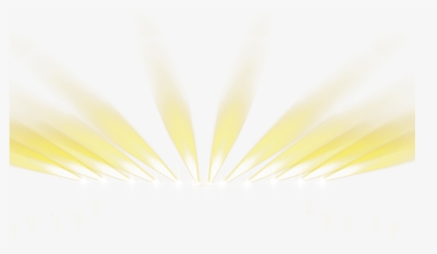 Transparent Yellow Light Png - Lights Wallpaper Png, Png Download, Free Download