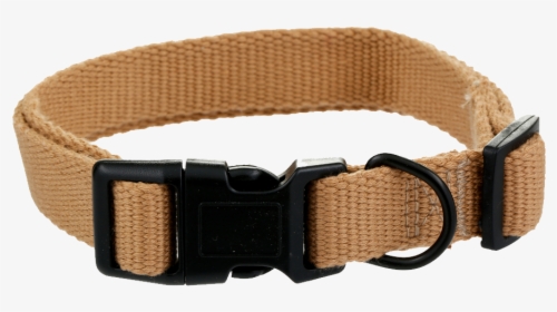 Metal Dog Collar Black Beige Belt And Png Image - Dog Collar, Transparent Png, Free Download