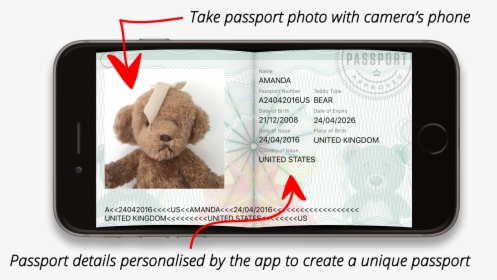 Teddy Bear Passport Template, HD Png Download, Free Download