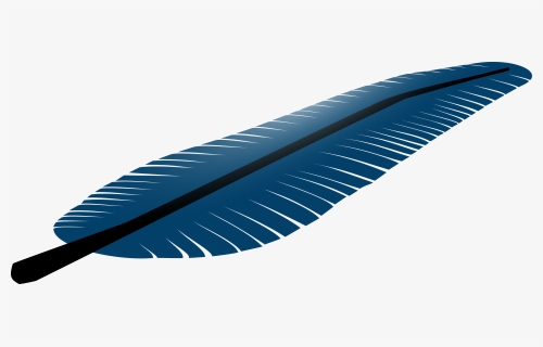 Transparent Blue Feather Png - Blue Jay Feather Clipart, Png Download, Free Download
