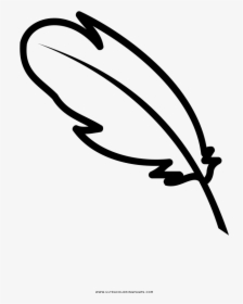 Quill Coloring Page - Coloring Images Of Quill, HD Png Download, Free Download