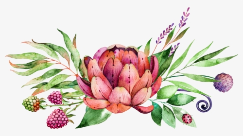 Jpg Library Painting Flower Succulent Plants Transprent - Protea Flower Clip Art, HD Png Download, Free Download