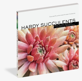 Cover - Succulent Plant, HD Png Download, Free Download