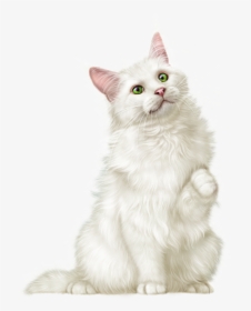 Kittens Clipart Ragdoll Cat, HD Png Download, Free Download