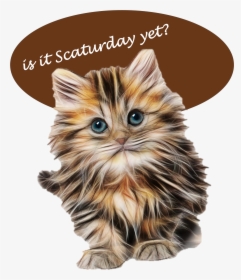 Fluffy Kittens , Png Download, Transparent Png, Free Download