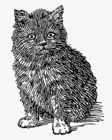 Cat Png Drawing Vintage, Transparent Png, Free Download