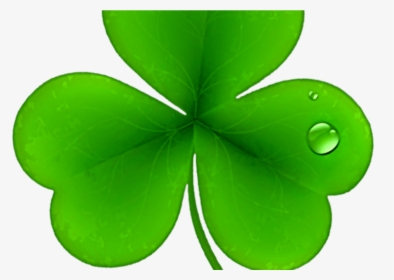 Shamrocks Clip Art Patricks Day Png St Patricks Day - St Patricks Shamrock Clover, Transparent Png, Free Download