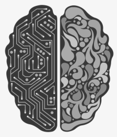 Left And Right Brain Png, Transparent Png, Free Download