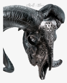 Carved Ram Skull - Ram Skull Black And White, HD Png Download, Free Download