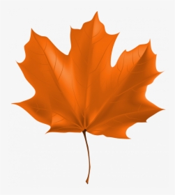 Autumn Leaf Clipart Png , Png Download - Clipart Autumn Leaf Png, Transparent Png, Free Download
