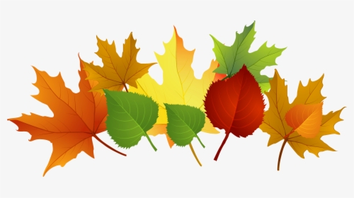 Thanksgiving Leaves Clip Art, HD Png Download, Free Download