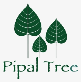 Leaf Clipart Pipal Tree - Clipart Of Leaf Of Pipal, HD Png Download, Free Download