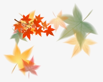 Fall Leaf Clipart Modern - Maple Leaf, HD Png Download, Free Download